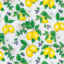 Load image into Gallery viewer, Lemons & Blueberries Medical Scrub Top Unisex Style for Men & Women