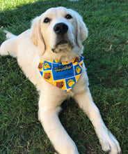 Load image into Gallery viewer, NEW ENGLAND PATRIOTS FOOTBALL inspired fabric Cat and Dogs Bandana Easy Slide over collar