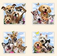 Load image into Gallery viewer, Size Small FUNNY DOG & CAT SELFIES Inspired Unisex Style Shirt for Men & Women *IN STOCK *READY TO SHIP