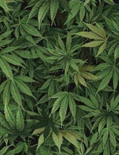 Load image into Gallery viewer, Cannabis Marijuana Leaves Green Fabric Unisex Medical Surgical Scrub Caps Men & Women Tie Back and Bouffant Hat Styles