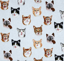 Load image into Gallery viewer, Cat Selfies on Blue Fabric Unisex Medical Surgical Scrub Caps Men & Women Tie Back and Bouffant Hat Styles