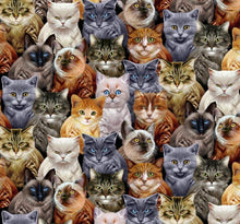 Load image into Gallery viewer, Cat Medical Scrub Top Cat Breeds Unisex Style Scrub Shirt for Men & Women