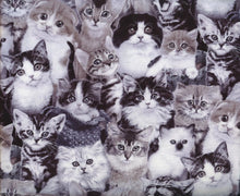 Load image into Gallery viewer, Animals Kitten Cats Black Gray White Packed Fabric Unisex Medical Surgical Scrub Caps Men & Women Tie Back and Bouffant Hat Styles