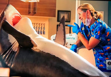 Load image into Gallery viewer, Sharks Medical Scrub Top Fish Ocean Sea Mammals Unisex Style for Men & Women