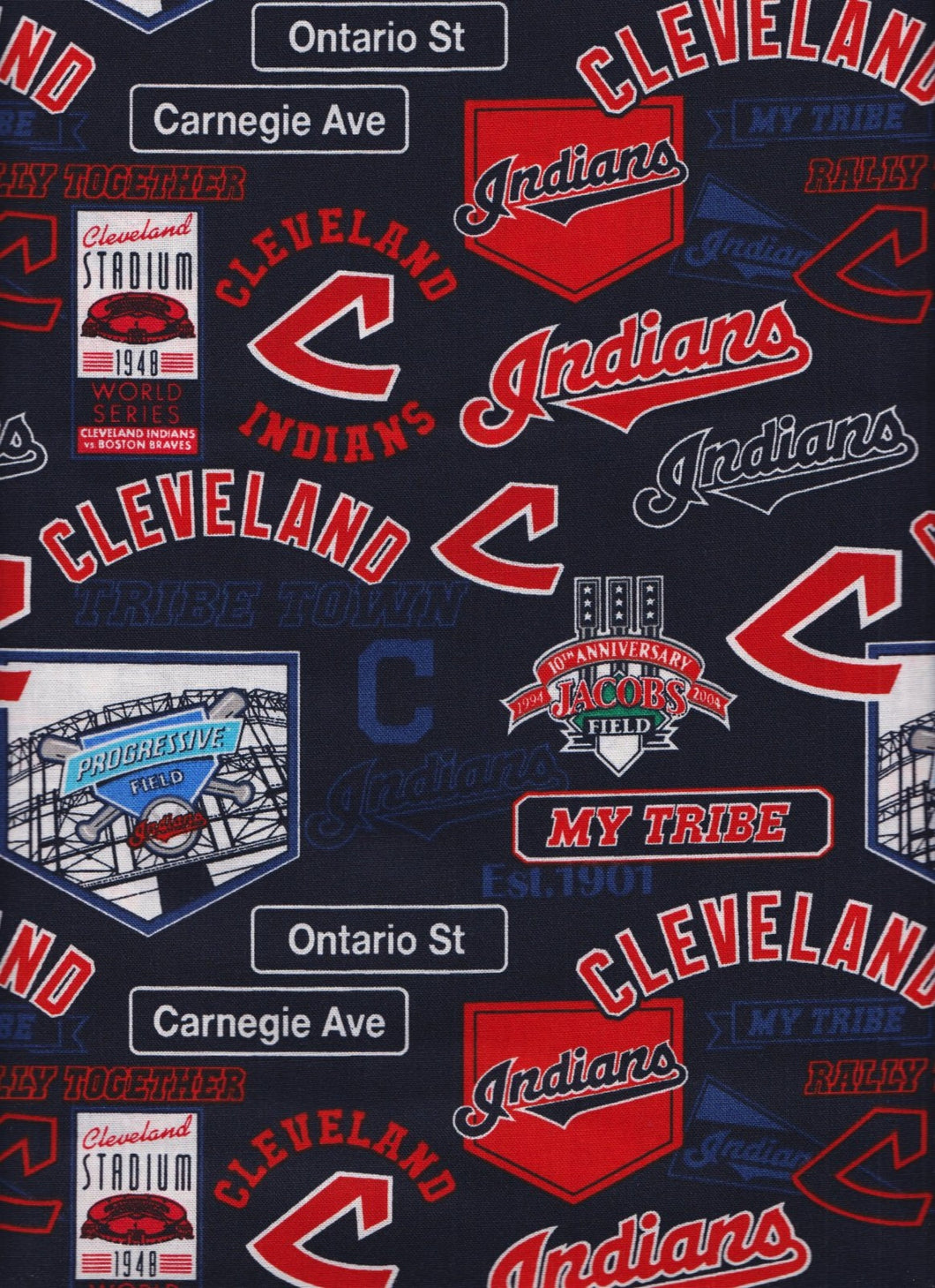 Cleveland Indians My Tribe Baseball Fabric Medical Stethoscope cover for Medical Professionals