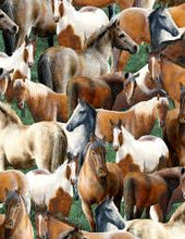 Load image into Gallery viewer, Roaming Wild Horses Breed Variety Fabric Stethoscope sock cover for Medical Professionals
