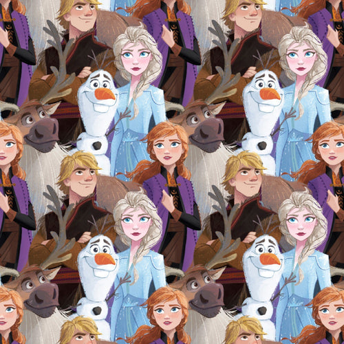 Frozen Characters Elsa Anna Olaf Kristoff Sven Packed Fabric Nurse Medical Scrub Top Unisex Style for Men & Women