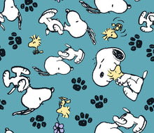 Load image into Gallery viewer, Peanuts Characters Snoopy Woodstock Gray Fabric Unisex Medical Surgical Scrub Caps Men &amp; Women Tie Back and Bouffant Hat Styles
